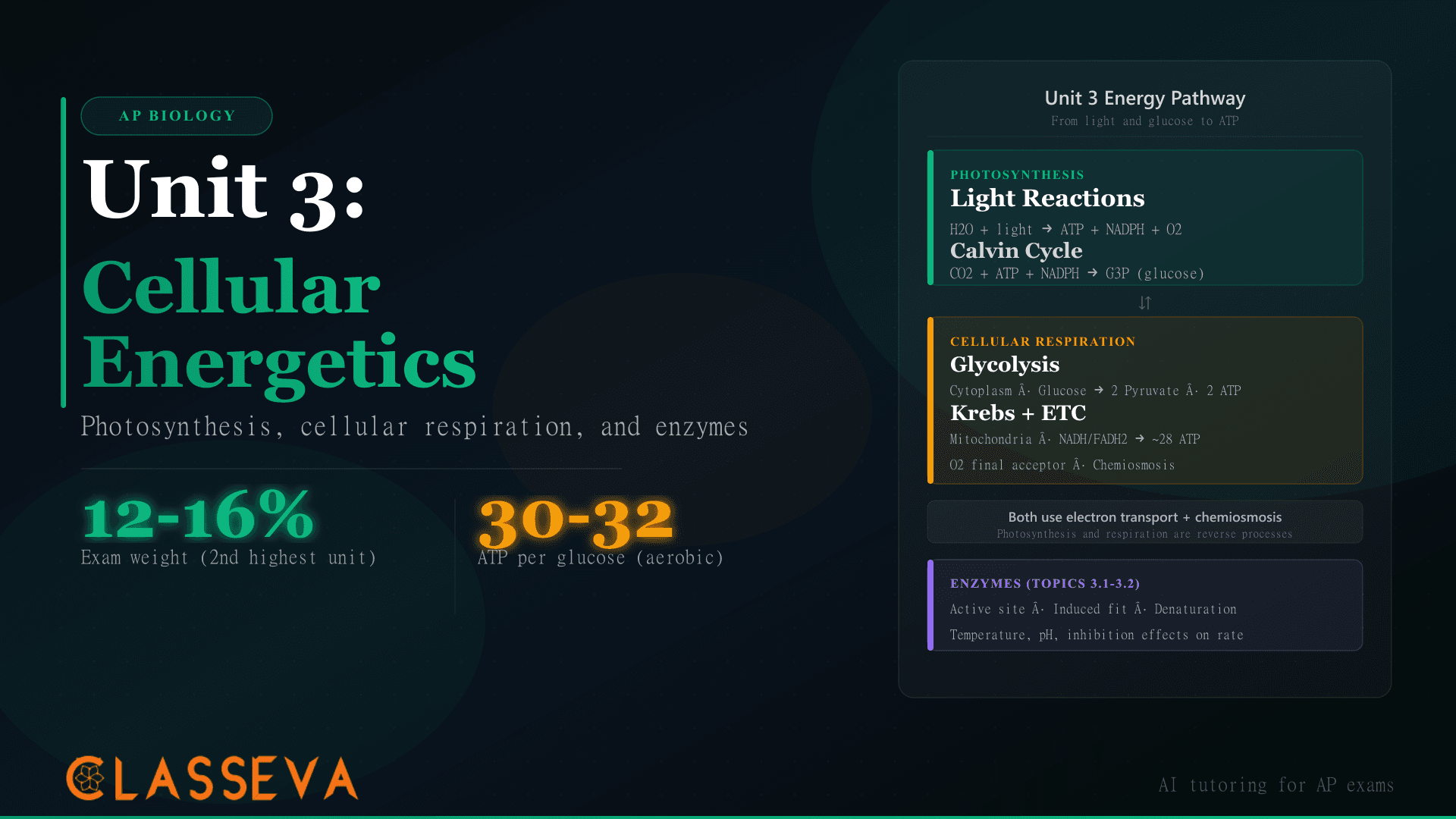 Mastering AP Biology Unit 3: Cellular Energetics